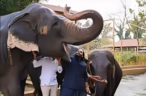 Anant Ambani discussing habitat designs with Delhi Zoo conservation experts in a meeting room