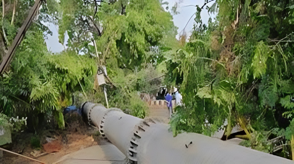 When Delhi’s 100-Foot Mobile Tower Came Crashing Down: दिल्ली में 100 फुट मोबाइल टावर का अचानक ढहना