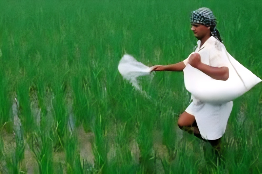 Indian farmer measuring soil nutrients before fertiliser application