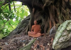 Sage meditating in peaceful forest representing spiritual exile